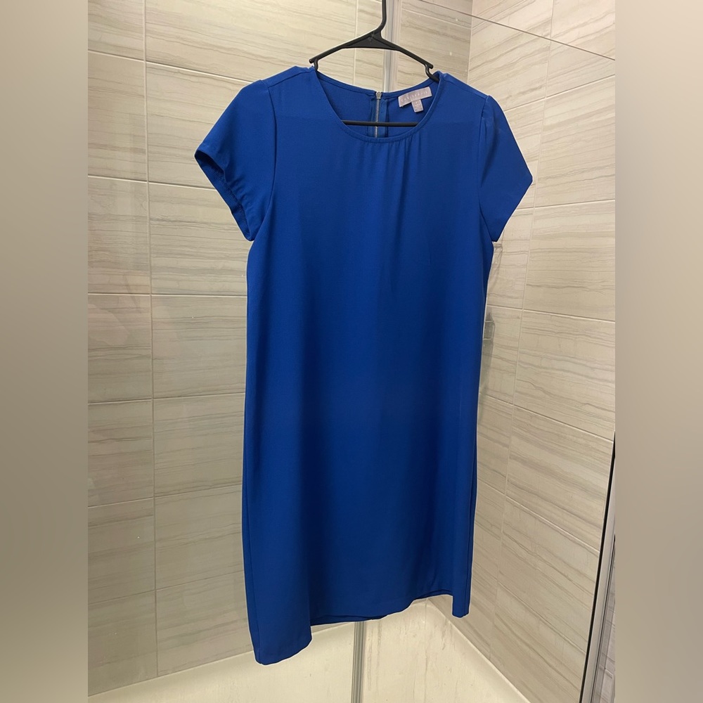 Royal Blue Shirt Dress with Gold Zipper on Back Nordstrom